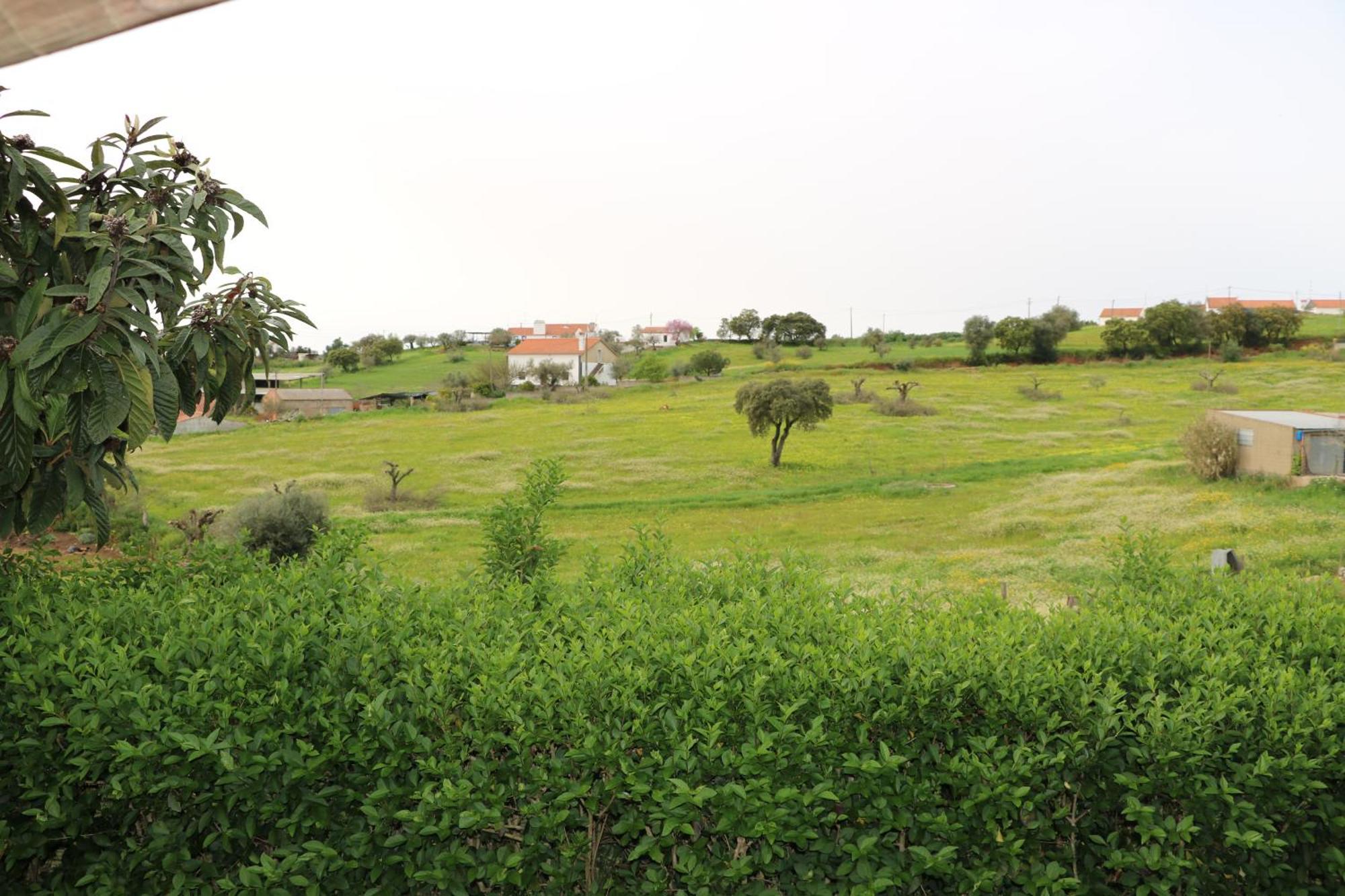 C M Casa De Mares Alojamento Local Casas Novas de Mares Bagian luar foto